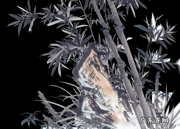 竹子的寓意和象征,竹子的寓意和象征