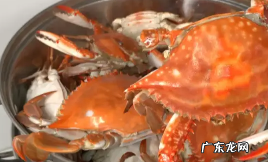 梭子蟹可以冷冻保存,梭子蟹要冰冻还是冷藏