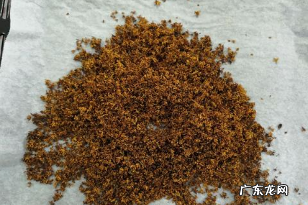 桂花怎样晒干才能保存香味,桂花怎样晒干才能保存香味