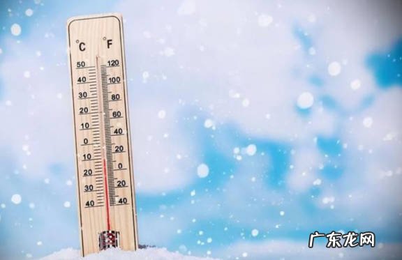 过度浇水 冬天养护橡皮树的禁忌有哪些