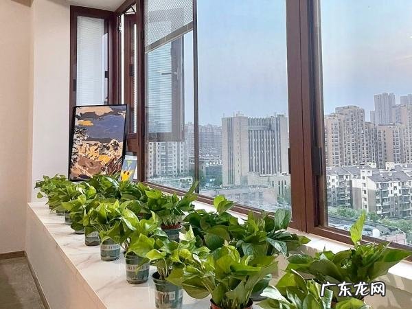 新房子装修后如何去甲醛,新房装修怎样除甲醛最快
