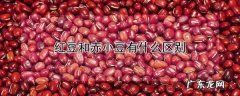 如何区分红豆和赤小豆,红豆和赤小豆哪个祛湿效果好