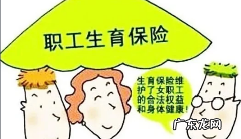 生育保险是什么,什么是生育保险
