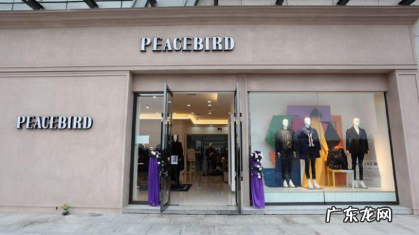 peacebird是什么牌子,太平鸟是什么牌子