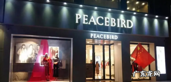 peacebird是什么牌子,太平鸟是什么牌子