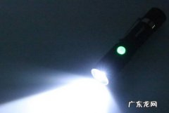 强光线 哪些东西会让猫咪感到恐惧