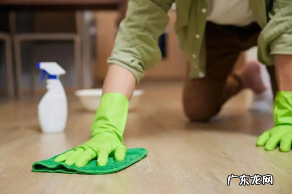 家里有老鼠了怎么解决,家里进老鼠了应该怎么办