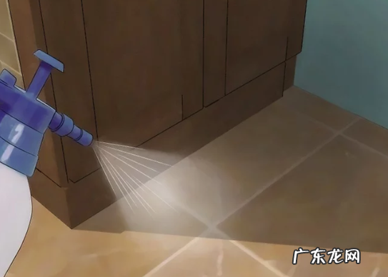 家里有老鼠了怎么解决,家里进老鼠了应该怎么办