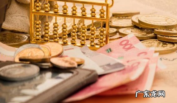 价格 纯种和串串比熊有什么区别
