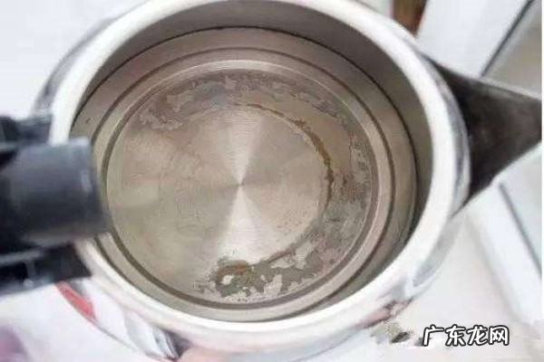 土豆芽有什么用途,土豆出芽属于什么繁殖