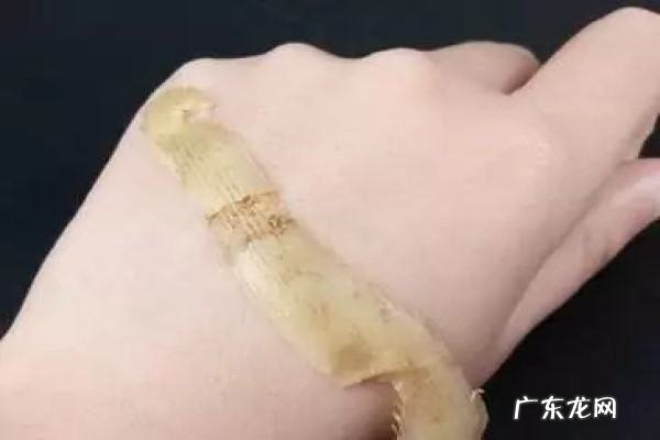 土豆芽有什么用途,土豆出芽属于什么繁殖