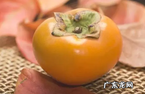 柿子里的黑点点是什么能吃,柿子里面有密密麻麻黑点可以吃