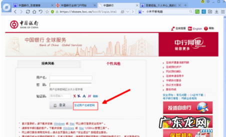 网银密码是什么,个人网银登录密码是什么意思