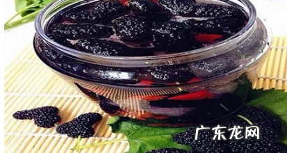 0斤桑葚可以下多少酒,一斤桑葚泡几斤白酒