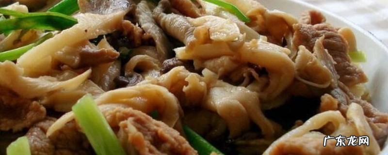 凤尾菇怎么做好吃又简单 凤尾菇怎么做好吃