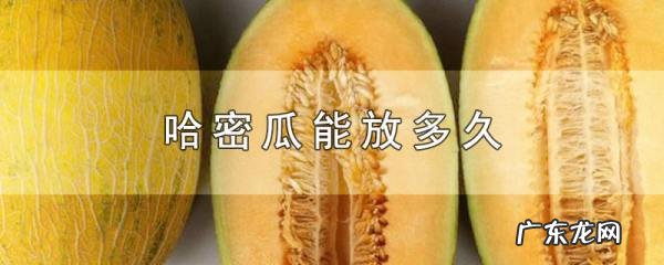 哈密瓜能放多久,哈密瓜放入冰箱保存能保存多久