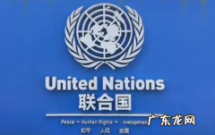 联合国安理会在哪里,安理会275号决议
