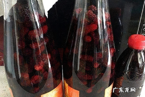60度白酒泡桑葚保质期,泡的桑葚酒有什么作用