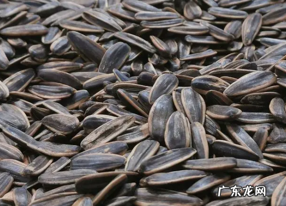 瓜子不脆了怎么弄,瓜子受潮不脆了怎么办能吃