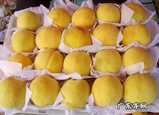 新鲜黄桃可以保存多久,黄桃罐头保存几天最好