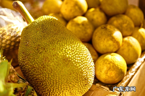 如何挑选好吃的菠萝蜜,菠萝蜜怎么挑选才好吃