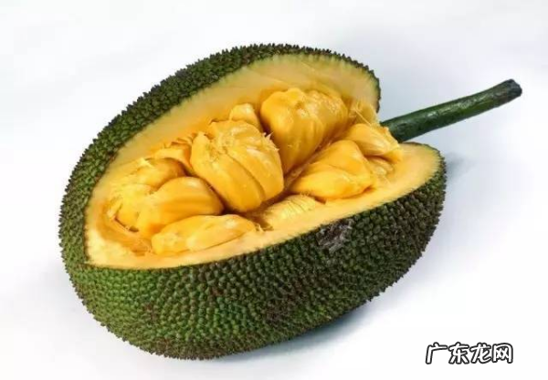 如何挑选好吃的菠萝蜜,菠萝蜜怎么挑选才好吃