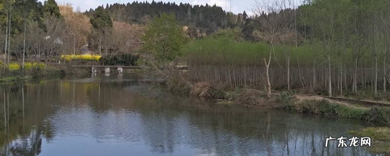 井研县风景名胜区 井研县景点