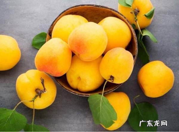 0月份是吃黄桃的季节,黄桃是什么季节的水果