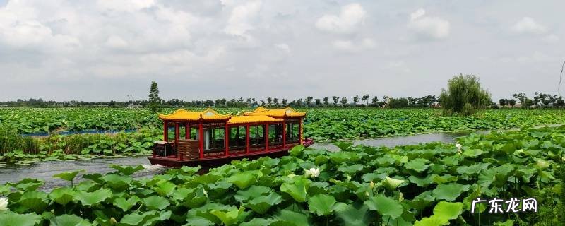 金湖县景点 金湖县旅游攻略