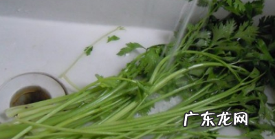 苹果胡萝卜汁要煮熟,胡萝卜能治眼睛近视