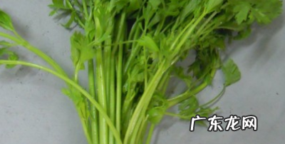 苹果胡萝卜汁要煮熟,胡萝卜能治眼睛近视