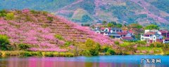 金东区景点 金东区旅游景点