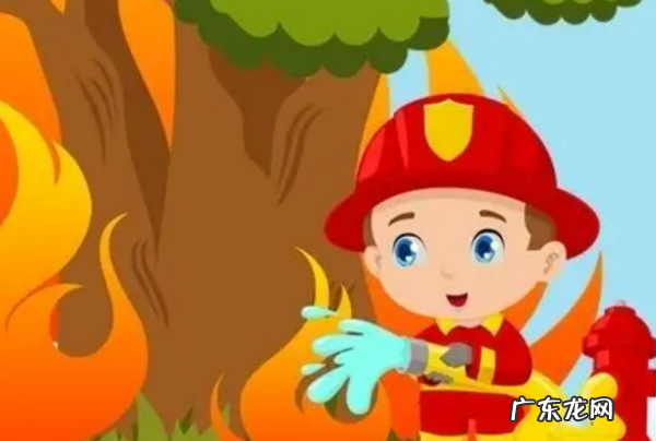 扑救森林火灾主要分哪几个阶段,森林火灾扑救方法