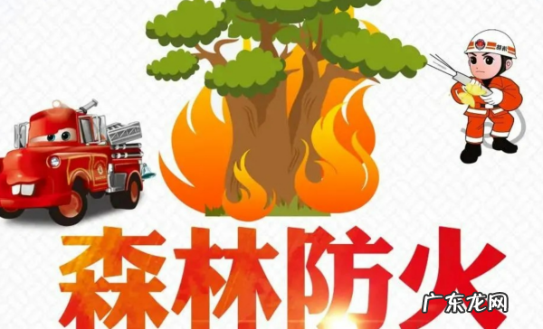 扑救森林火灾主要分哪几个阶段,森林火灾扑救方法