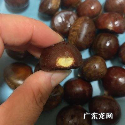 栗子放微波炉里需要几分钟,冻栗子微波炉多长时间