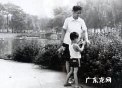 大宋佳儿子父亲是谁,我和我的儿子作文800字高中