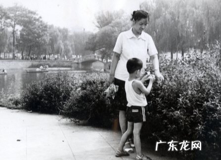 大宋佳儿子父亲是谁,我和我的儿子作文800字高中