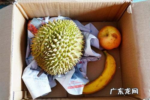 榴莲剥开了不熟能放熟,榴莲打开没熟又把它合回去会熟