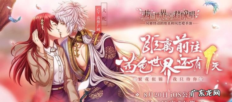 网络语cql什么意思,CCQL什么意思