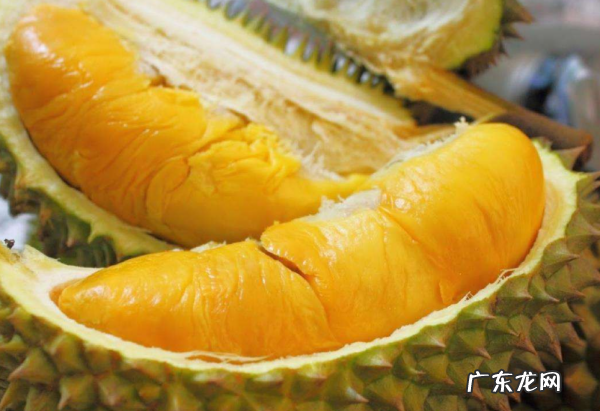 新鲜榴莲可以放冰冻,榴莲能冰冻能放多久