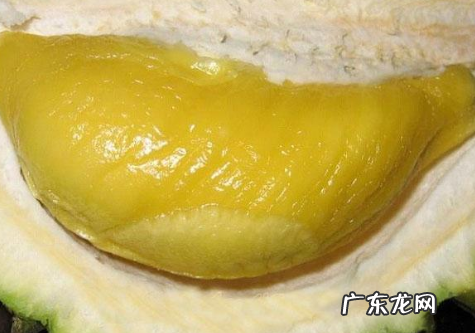 新鲜榴莲可以放冰冻,榴莲能冰冻能放多久