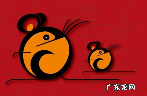 明年是什么生肖年,明年是什么年生肖