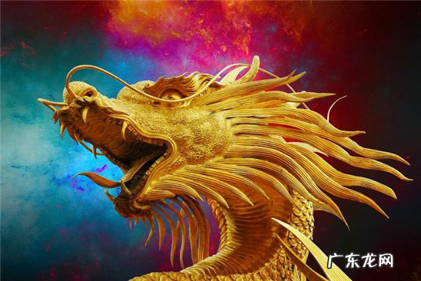 明年是什么生肖年,明年是什么年生肖