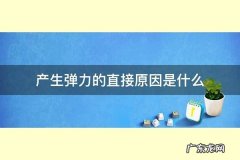 什么是弹力弹力是怎么样产生的,什么东西是有弹力的