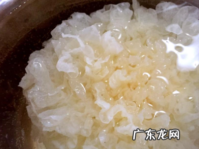 白木耳要泡多久才能煮,白木耳要泡多久才能煮出来胶