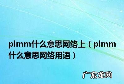 plmm什么网络意思,plmm是什么意思的缩写