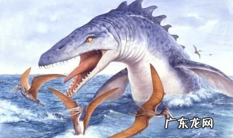 鱼龙和蛇颈龙是恐龙吗?,下列动物中那几个属于恐龙鱼龙 2 翼龙 3 鸭嘴龙 4蛇颈龙_百度...