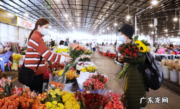 广州花卉批发市场在哪里,广州哪里有鲜花批发市场地址