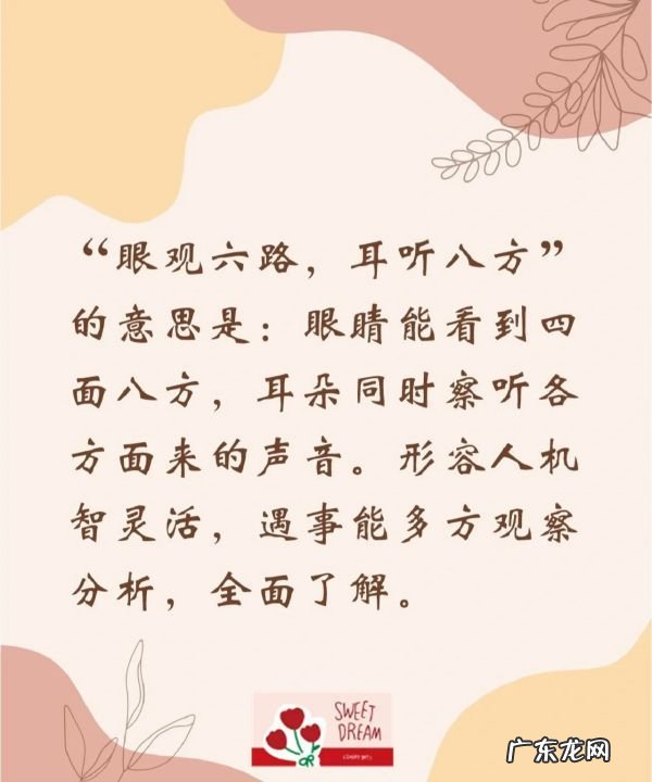 眼观六路的路是哪一个路,眼观六路的六路是指什么生肖