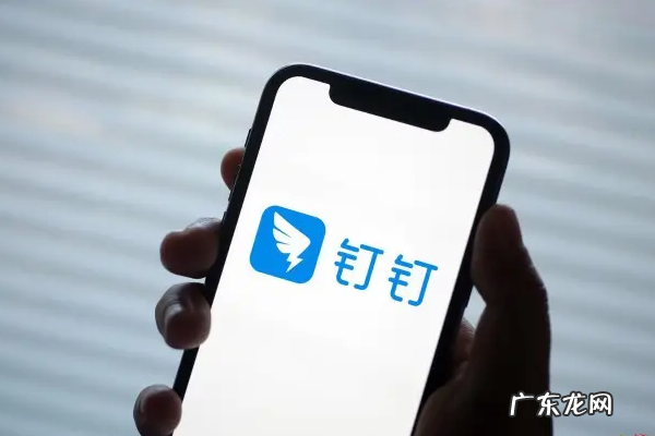 钉钉是什么玩意儿,阿里巴巴钉钉是什么软件